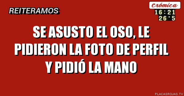 Se asusto el oso, le pidieron la foto de perfil y pidió la mano