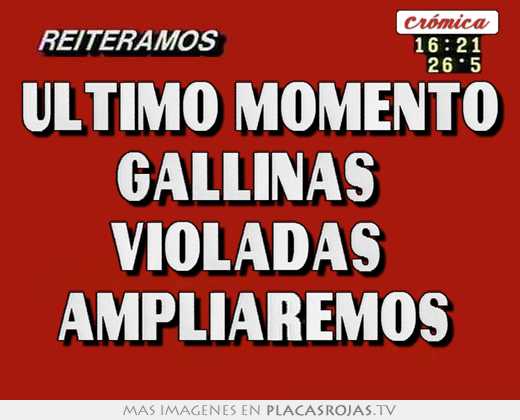Ultimo momento gallinas   violadas   ampliaremos 