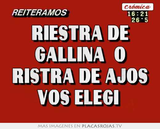 Riestra de gallina  o ristra de ajos vos elegí 