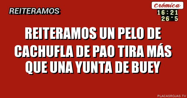 Reiteramos

un pelo de cachufla de pao tira más que una yunta de buey