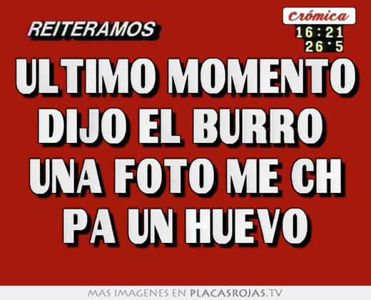 Último momento dijo el burro  una foto me ch pa un huevo