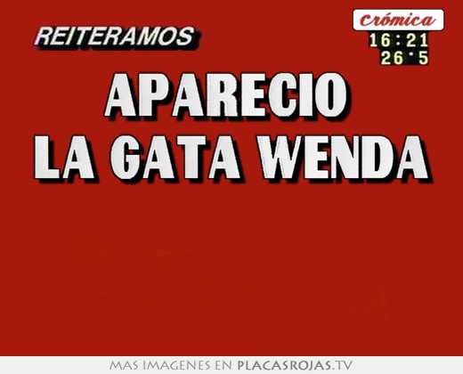 Apareció  la gata wenda  