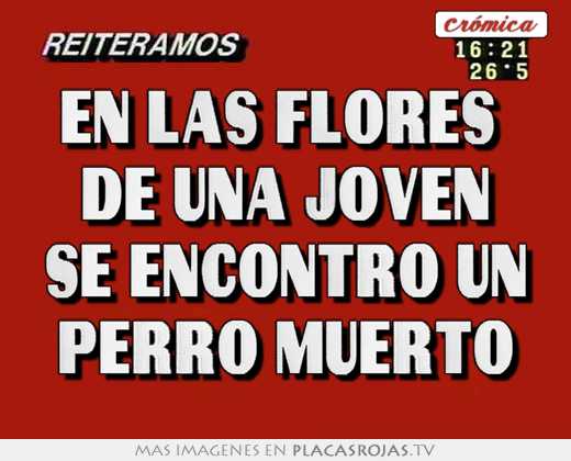 En las flores  de una joven se encontrÓ un perro muerto