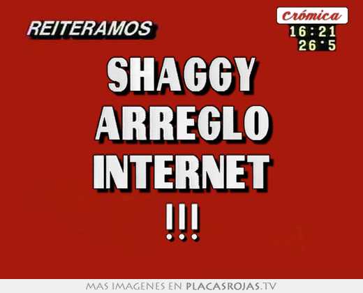 Shaggy arreglo internet !!!