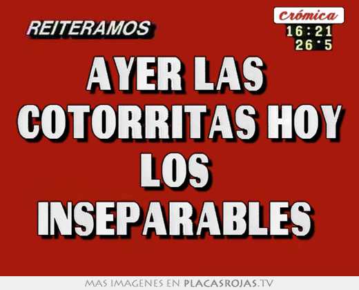 Ayer las  cotorritas hoy los  inseparables 