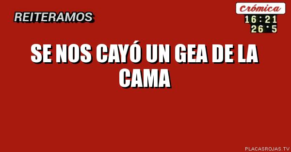 Se nos cayó un gea de la cama
