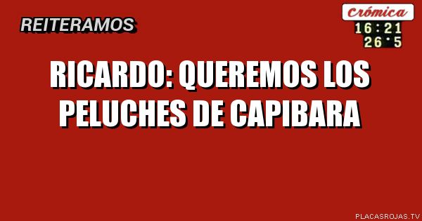 Ricardo: queremos los peluches de capibara