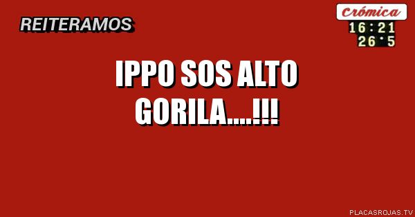 IPPO SOS ALTO GORILA....!!!