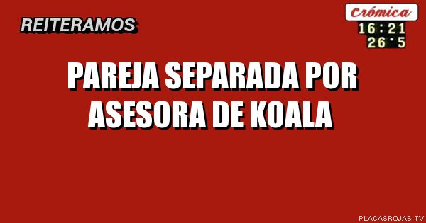 PAREJA SEPARADA POR ASESORA DE KOALA