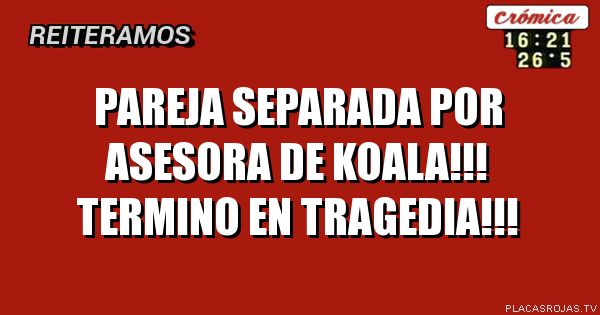 Pareja separada por asesora de Koala!!! Termino en tragedia!!!