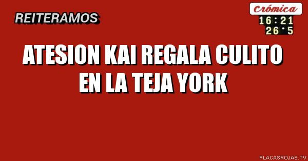 atesion kai regala culito en la teja york