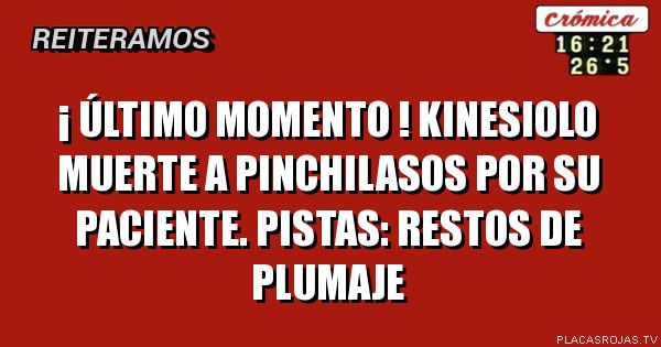 ¡ ÚLTIMO MOMENTO !
Kinesiolo muerte A PINCHILASOS POR SU PACIENTE.
Pistas: restos de plumaje