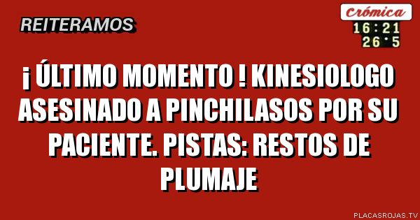 ¡ ÚLTIMO MOMENTO !
Kinesiologo ASESINADO A PINCHILASOS POR SU PACIENTE.
Pistas: restos de plumaje