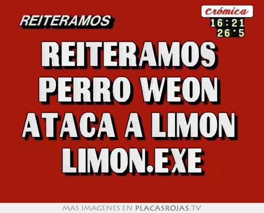 reiteramos perro weÓn ataca a limÓn limÓn.exe