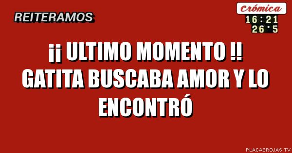 ¡¡ ULTIMO MOMENTO !!
GATITA BUSCABA AMOR
Y LO ENCONTRÓ