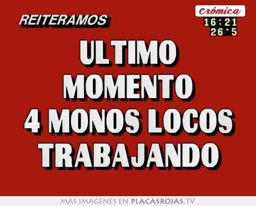 Último momento 4 monos locos trabajando
