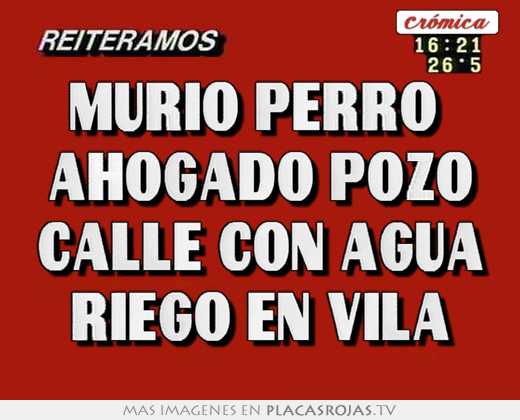 murio perro  ahogado pozo calle con agua riego en vila