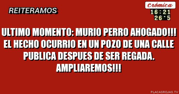 Ultimo momento:
murio perro ahogado!!!
el hecho ocurrio en un pozo de una calle publica
despues de ser regada.
ampliaremos!!!