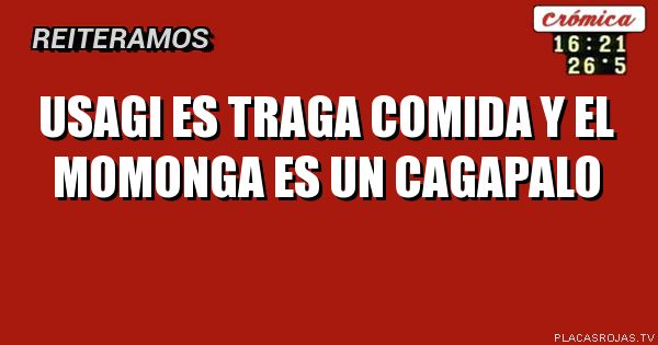 Usagi es traga comida y el momonga es un Cagapalo