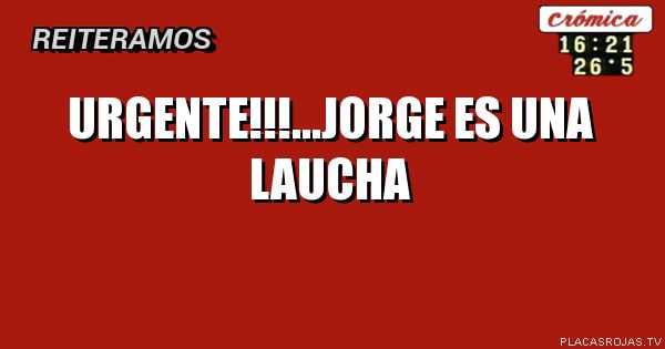 Urgente!!!...jorge es una 
Laucha