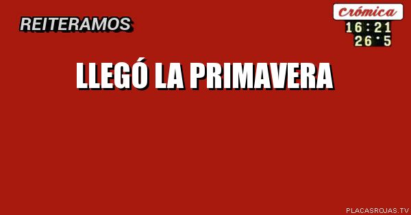 LLEGÓ LA PRIMAVERA