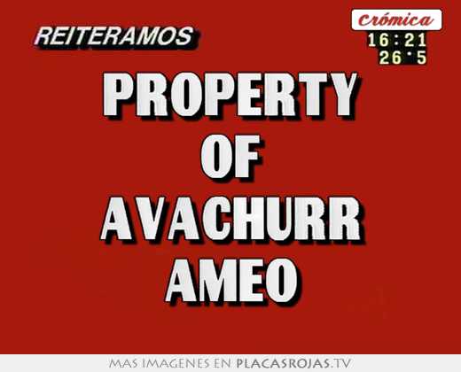 property of avachurr ameo