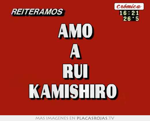amo a rui kamishiro
