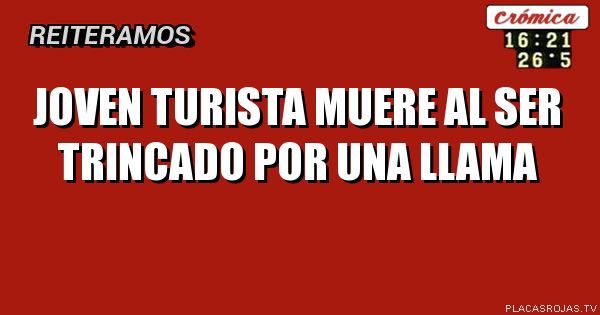 Joven turista muere al ser trincado por una llama