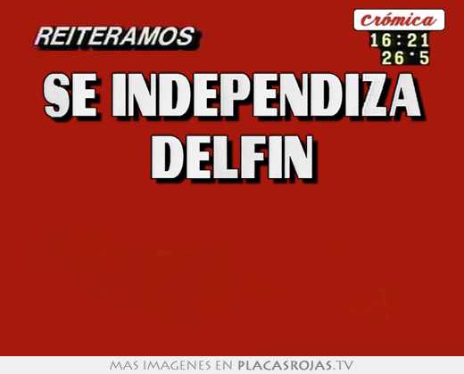 se independiza delfin