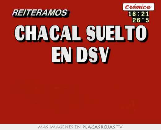 chacal suelto en dsv