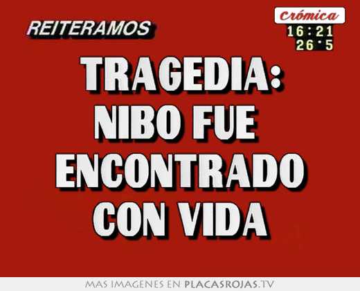 tragedia: nibo fue encontrado con vida