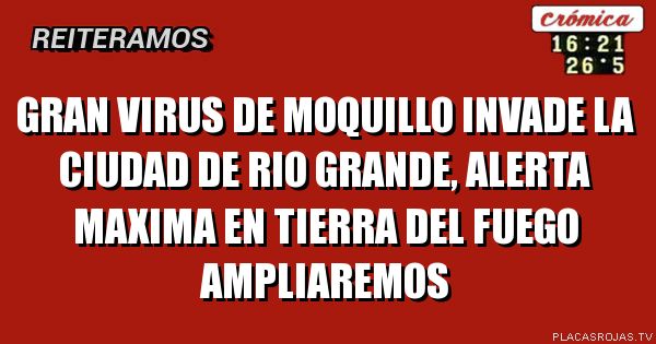 Gran virus de moquillo invade la ciudad de rio grande, alerta maxima en tierra del fuego ampliaremos