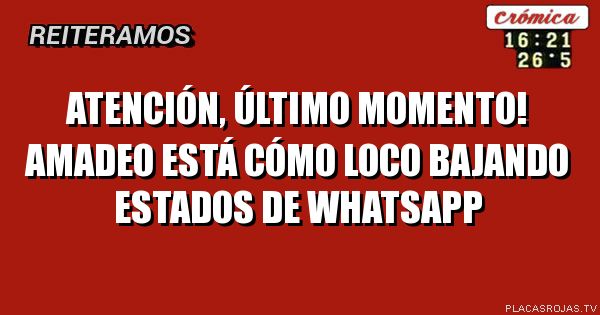 Atención, último momento! Amadeo está cómo loco bajando estados de WhatsApp