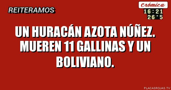 Un Huracán azota Núñez. Mueren 11 gallinas y un boliviano.