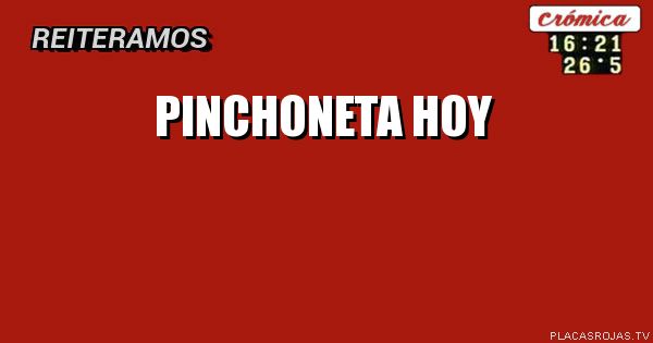 Pinchoneta hoy