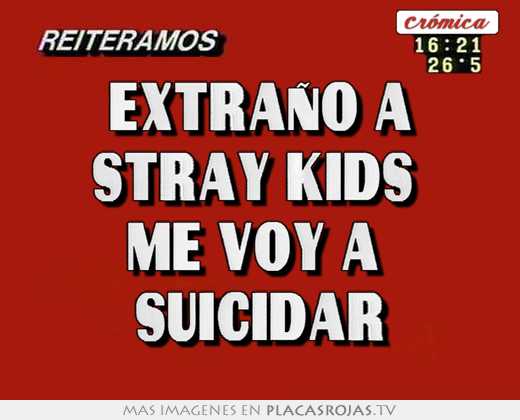 extraño a stray kids  me voy a  suicidar