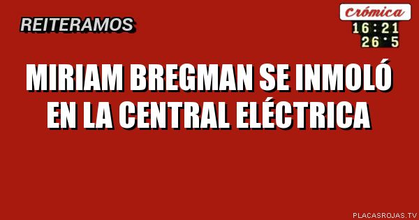 Miriam bregman se inmoló en la central Eléctrica