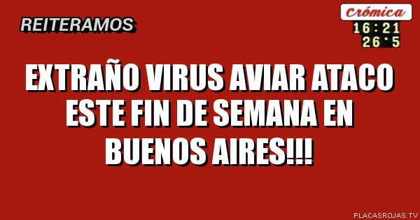Extraño virus aviar ataco este fin de semana en Buenos aires!!!