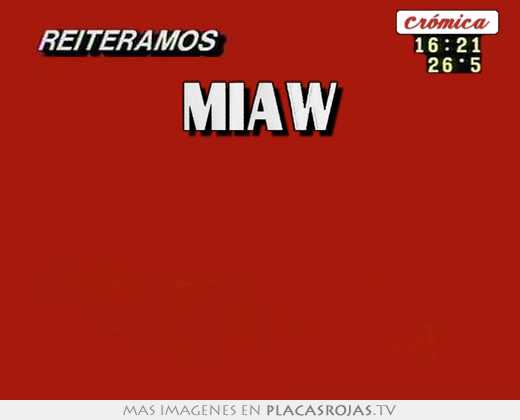 miaw