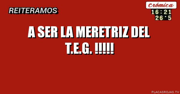 A SER
LA MERETRIZ
DEL T.E.G. !!!!!