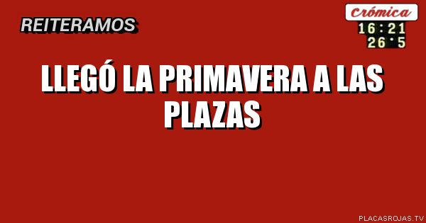 Llegó la primavera a las plazas