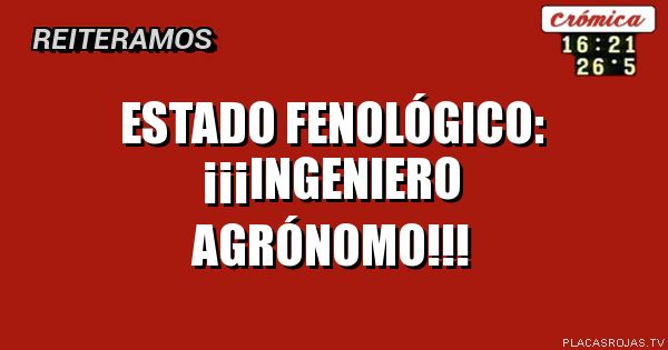 ESTADO FENOLÓGICO:
¡¡¡INGENIERO AGRÓNOMO!!!