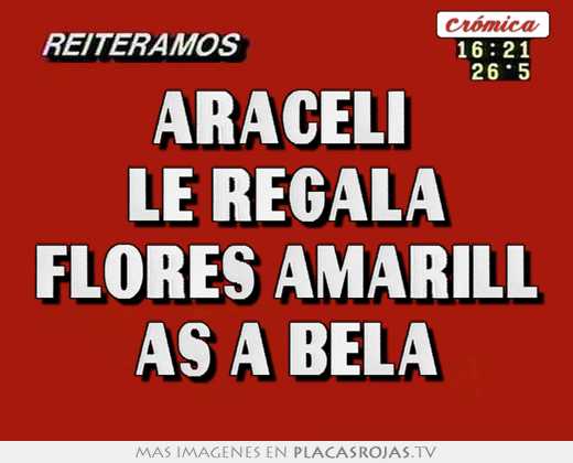 araceli le regala flores amarill as a bela