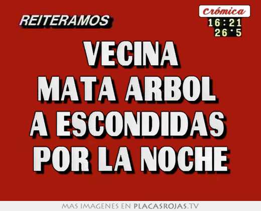vecina mata Árbol a escondidas por la noche