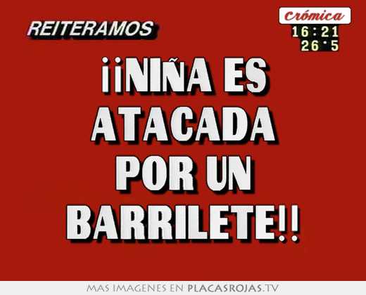 ¡¡niÑa es atacada por un barrilete!!