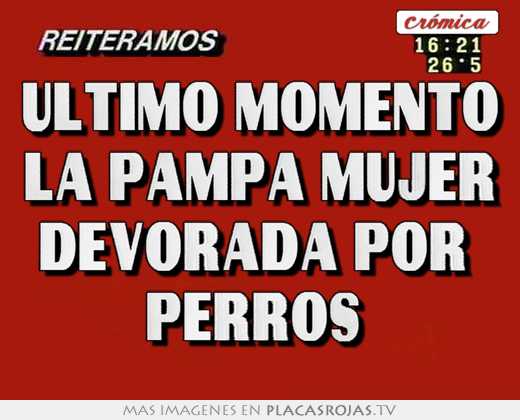 Último momento la pampa mujer devorada por perros