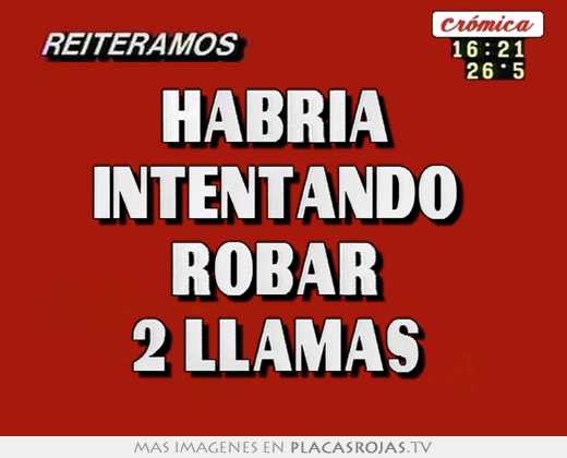 habría intentando robar 2 llamas