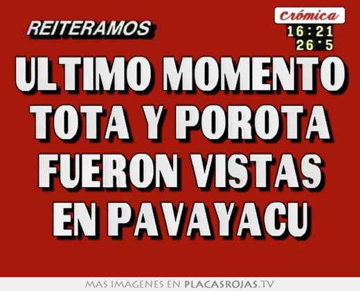 ultimo momento tota y porota fueron vistas en pavayacu
