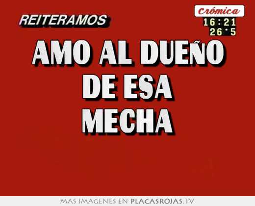 amo al dueño de esa mecha