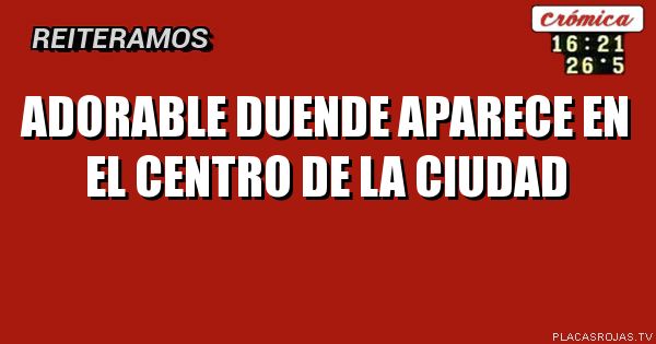 Adorable duende aparece en el centro de la ciudad